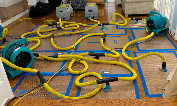 Professional Crawl Space Water Removal technician working in Wendell Depot, MA